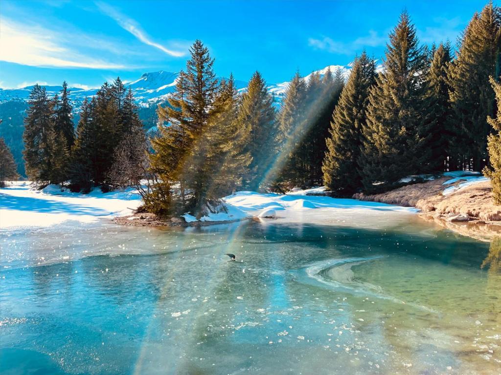 Вілла La Civetta Вальбелла Екстер'єр фото